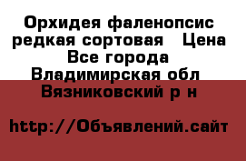 Орхидея фаленопсис редкая сортовая › Цена ­ 800 - Все города  »    . Владимирская обл.,Вязниковский р-н